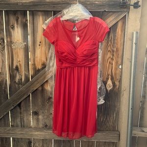 David’s Bridal Bridesmaid Dress